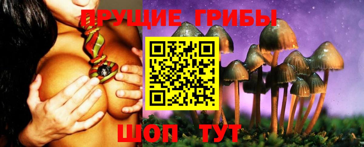 Псилоцибиновые грибы GOLDEN TEACHER Добрянка